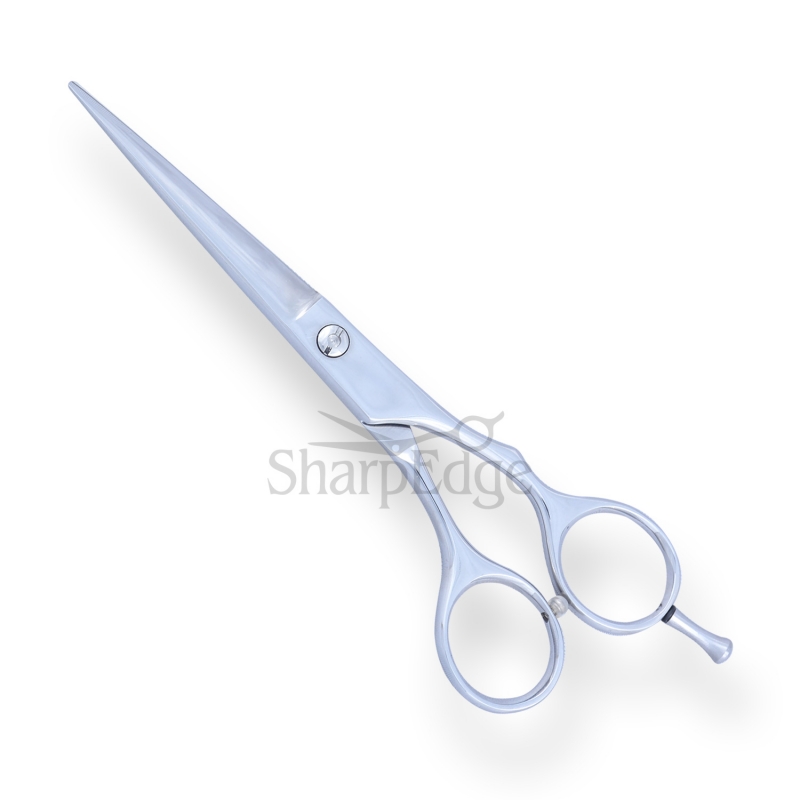 Professional Hair Dressing Scissors 